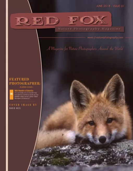 Red Fox Nature Photography Magazine: Issue 01 - Summer 2018